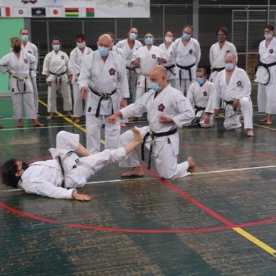 stage international novembre 2021