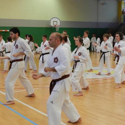stage international 2014 avec Sensei Naïto