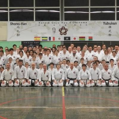 Stage international 2017